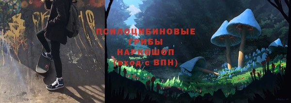 ПСИЛОЦИБИНОВЫЕ ГРИБЫ Володарск