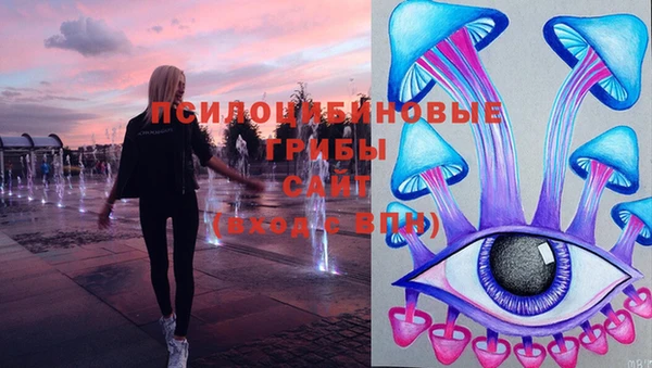 спайс Вяземский