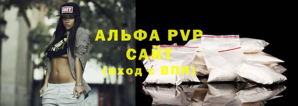 спайс Вяземский