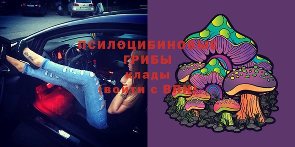 спайс Вяземский