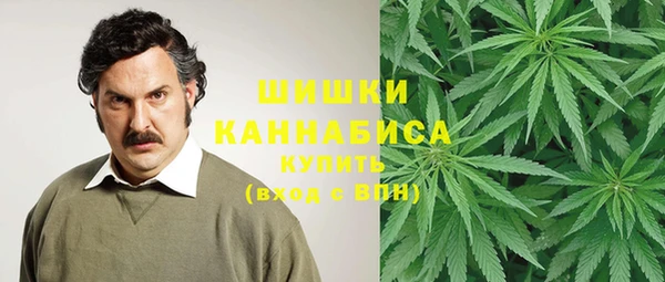 МДПВ Волоколамск