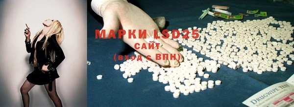 ПСИЛОЦИБИНОВЫЕ ГРИБЫ Володарск